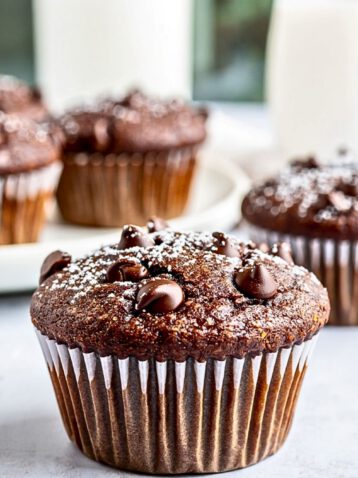 Chocolate Chocolate Chip Muffins 42 8 5