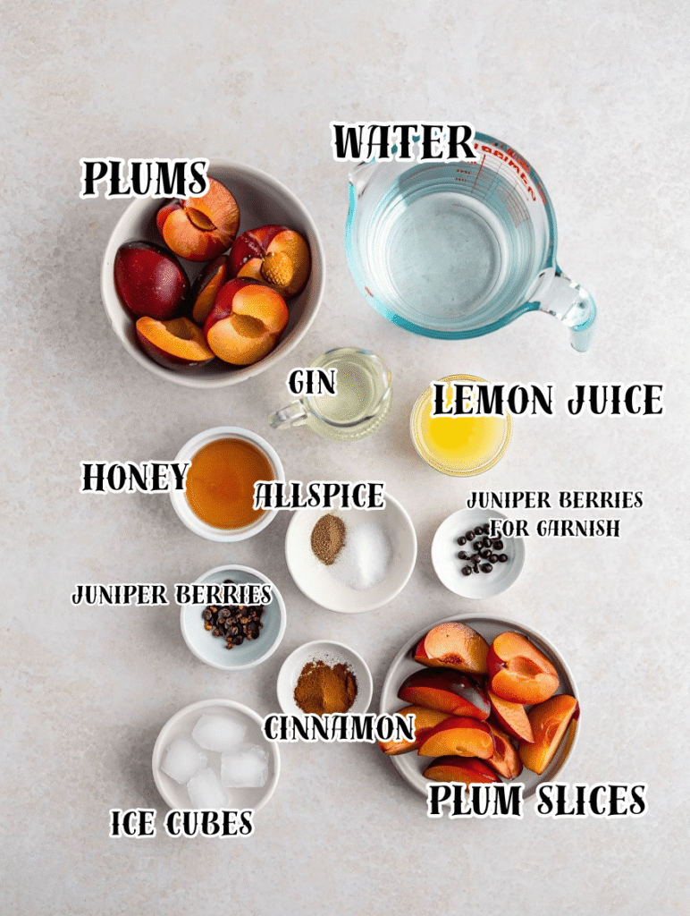 Juniper and Roasted Plum Tonic 2 ing 3