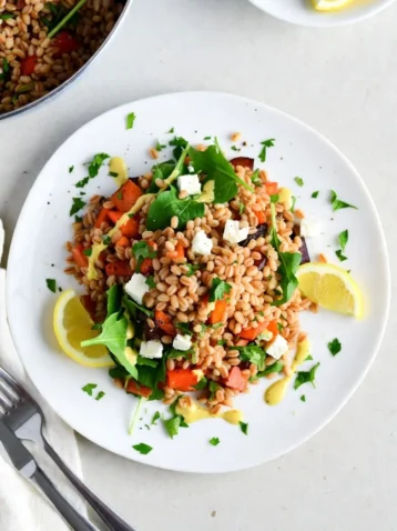 Farro Salad: A Refreshing and Healthy Meal Option 2 Farro Salad A Refreshing and Healthy Meal Option