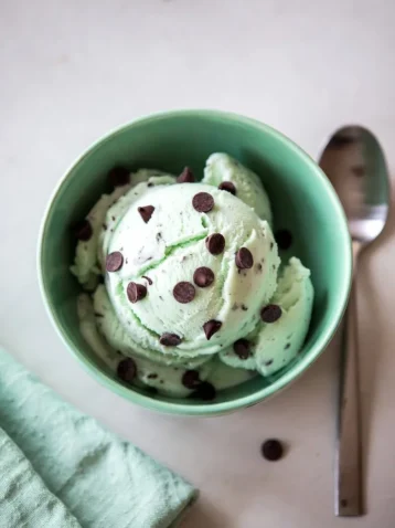 Mint Chocolate Chip Ice Cream: A Refreshing Summer Treat 9 Mint Chocolate Chip Ice Cream