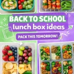Easy Cold School Lunch Ideas