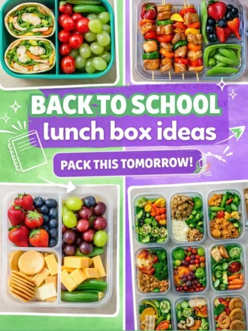 Back to School Lunch Box Ideas 5 Back to School Lunch Box Ideas