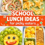 Easy Cold School Lunch Ideas